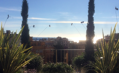 FARFALLE SUL BELVEDERE
